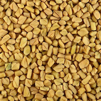 Fenugreek Seeds Broker & Trader From India